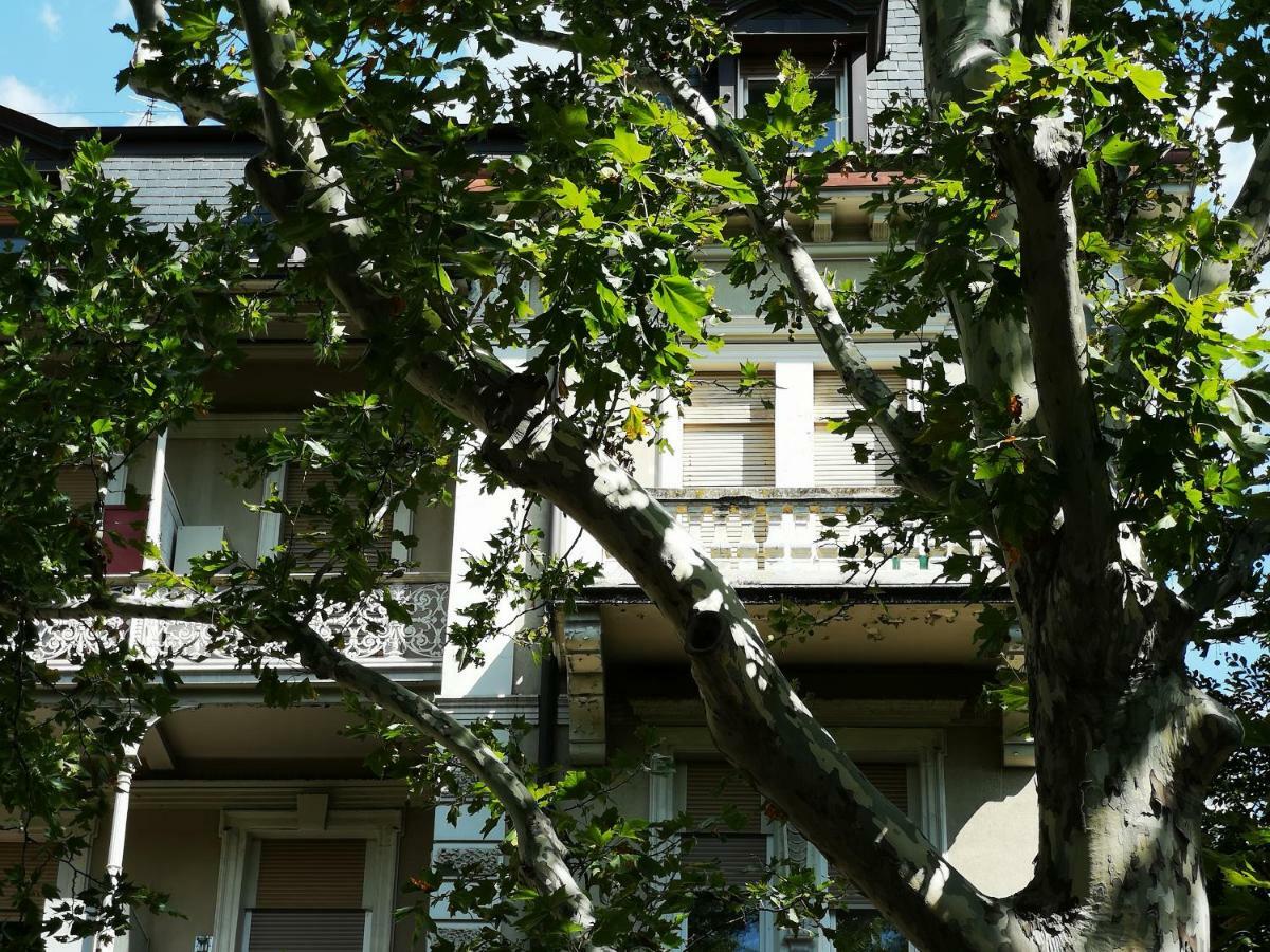 Spazioso E Accogliente Nel Centro Di Merano Exterior foto